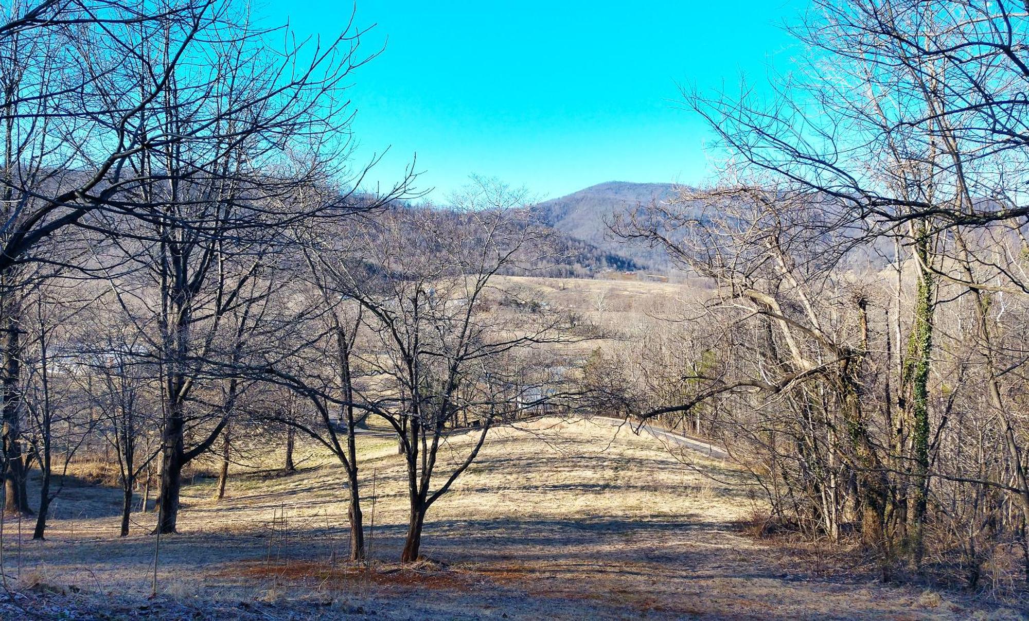 Graves Mountain Farm & Lodges Syria エクステリア 写真